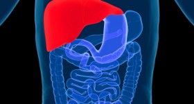 Digestion Sunrider Calli Tea for healthy digestion Diana Walker diana1.com