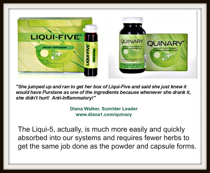 Liqui Five Chinese Herbs healthy formula Circulatory, Respiratory, Immune, Endocrine, Digestion