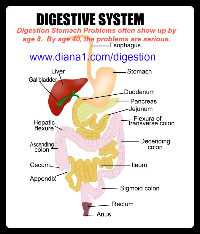 Digestion System Problems Age 40 Serious Not Enough Enzymes, Antacids are not the solution