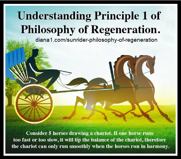 Sunrider Philosophy of Regeneration Principle 1