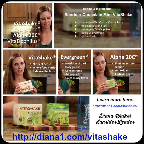 Vitashake Sunrider Healthy Recipe Chocolate Mint Katie Chen Recipe www.diana1.com/vitashake