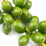 SunTrim Plus Green Coffee Beans