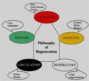 Sunrider Philosophy of Regeneration Diana Walker 